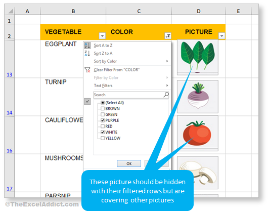 Filtering Pictures Not Working in Microsoft Excel 2007 2010 2013 2016 2019 365