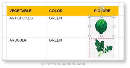 Fit Picture Within Cell Borders in Microsoft Excel 2007 2010 2013 2016 2019 365