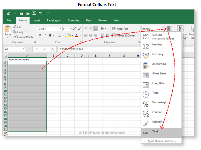 Format Cells As Text in Microsoft Excel 2007 2010 2013 2016 2019 365