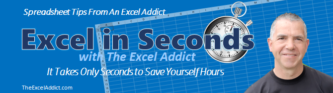 IMAGE: Excel In Seconds Tips and Tricks from The Excel Addict - Microsoft Excel 2003, 2007, 2010, 2013, 2016, 2019, 365