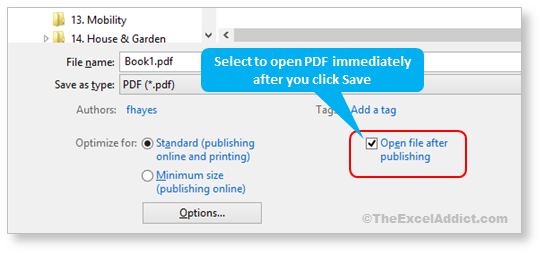 Open Pdf After Publishing in Microsoft Excel 2007 2010 2013 2016 365