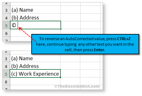 Undo Ctrl Z Autocorrect Copyright Symbol in Microsoft Excel 2007 2010 2013 2016 365